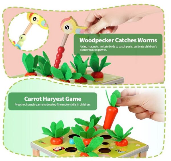 Early Education Treasure