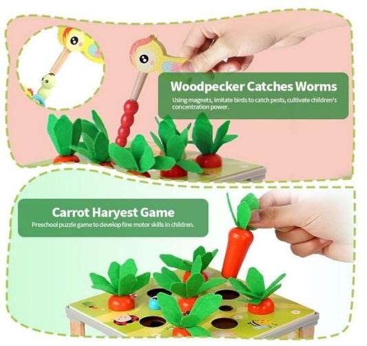 Early Education Treasure